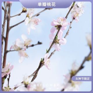 花点时间 REFLOWER 玫瑰康乃馨-混合花束