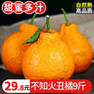  shui guo shu cai/水果蔬菜 新鲜 丑橘  小果(果径65-70mm) 简装 4.5kg