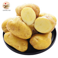 定西馆 甘肃特产定西土豆1500g 烧烤火锅食材 黄心面土产地直供新鲜蔬菜干净定西马铃薯洋芋宝宝辅食 定西土豆2500g（净重约5斤）
