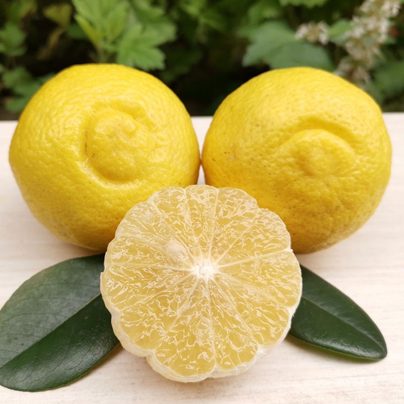 chenyutong陈雨桐正宗广西容县沙田柚带箱455斤