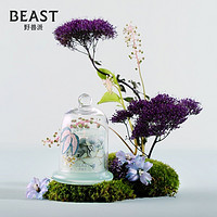 THE BEAST 野兽派 Jungle香氛礼盒 散香器 钟罩蜡杯 多种香型香薰无火香薰结婚礼物 清新龙舌兰 香氛礼盒 清新龙舌兰 钟罩蜡杯