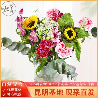 鲜花速递包月鲜花自然混搭系列花束混合款每周一花居家生活办公室小花束自然混合系列 4 5种花材 3个月12周1周发1次 每次发1束 报价价格评测怎么样 什么值得买 鲜花速递包月鲜花自然混搭系列花束混合款每周一花居家生活办公室小花束自然混合系列 4 5种花材 3个月12周1周发1次 每次发1束 报价价格评测怎么样 什么值得买