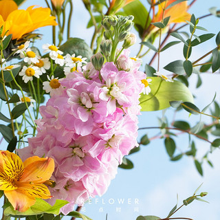 京东鲜花 女神节 玫瑰百合康乃馨节日礼物鲜切花设计款花束窈窕如你-仙境款（3月7日收花）