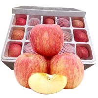 山东栖霞红富士苹果 生鲜水果 红富士5斤装 红富士10斤装(B4)