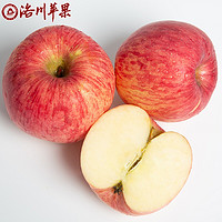 陕西洛川苹果水果礼盒装送礼红富士脆甜 9枚80mm品质果(彩箱礼盒)