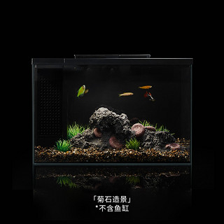 小佩×起源纪智能鱼缸Pro 水族箱金鱼缸生态鱼缸过滤器玻璃鱼缸懒人家用客厅彩灯中小型15L鱼缸 造景(菊石)