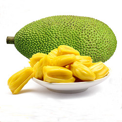 十记庄园 海南菠萝蜜1个 黄肉菠萝蜜新鲜水果木菠萝 25-30斤