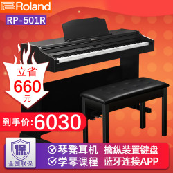 罗兰 RP501R家用立式电钢琴 智能立式考级黑色+琴凳礼包