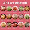 10颗装种好多肉植物新手套餐组合盆栽组合盆栽云南基地直发ZB