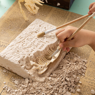 恐龙化石考古挖掘玩具儿童挖宝石男孩女孩探索组装大骨架模型盲盒