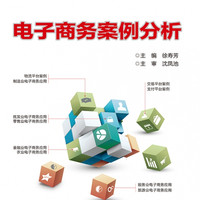 电子商务案例分析(新商科电子商务系列规划教材)