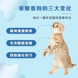 Paddy Time 泰国进口最宠(paddytime) 猫罐头80g*12罐白肉啫喱款宠物猫粮湿粮成猫幼猫咪鱼肉零食 金枪鱼+鲑鱼80g*12罐装