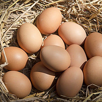 小覃同学 农家散养土鸡蛋 10枚