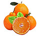 水果蔬菜 不知火丑橘 5斤 特大果(80-90mm) 拍2件