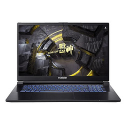 Hasee 神舟 战神G8-DA7NP 17.3英寸游戏笔记本电脑（i7-12700H、16GB、512GB、RTX3060）