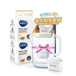 BRITA 碧然德 专家版滤芯12枚+设计师水壶绿（到手1壶13芯）