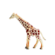 PLUS会员：Wenno 儿童仿真动物玩具模型 长颈鹿C款
