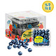 怡颗莓 Driscoll's 怡颗莓 当季限量 超大果 云南蓝莓2盒装 约125g/盒