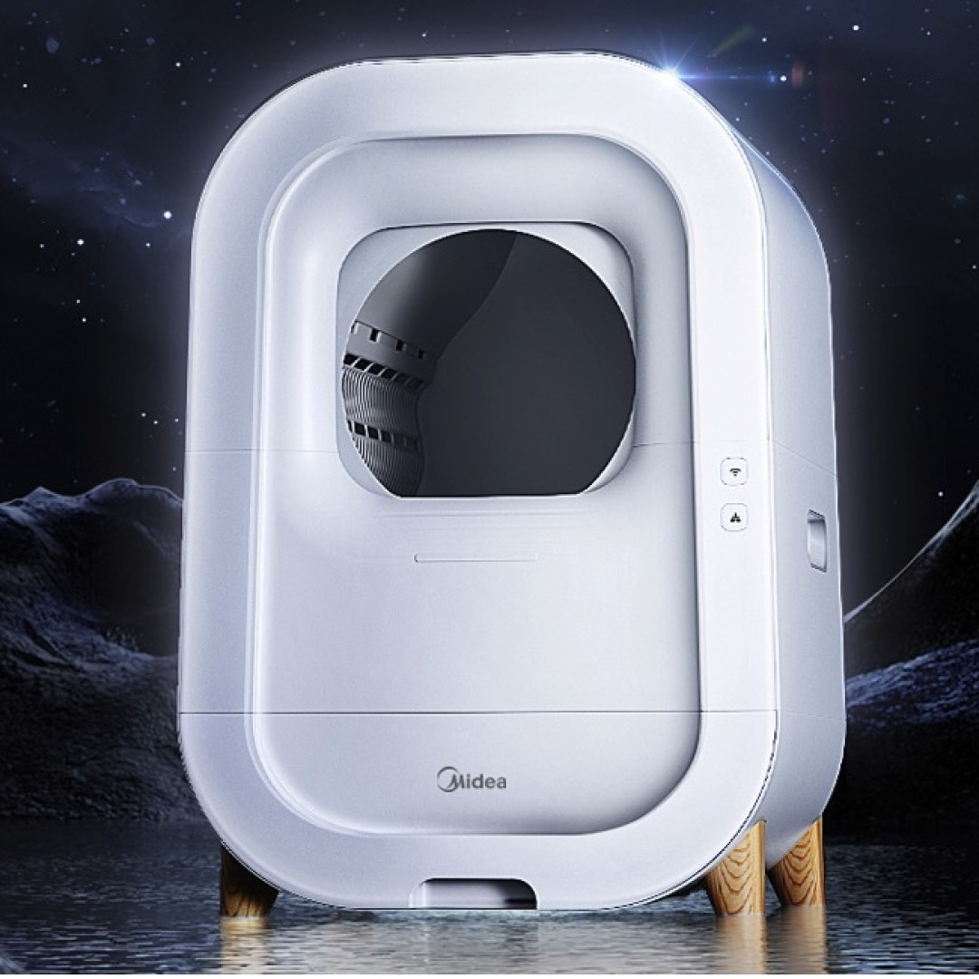 传说中的“逻辑猫”、“巡逻猫”饲养攻略，人家叫暹（xian一声）罗猫！