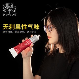 WINSOR＆NEWTON 温莎·牛顿 温莎牛顿画家专用油画颜料套装初学者儿童美术绘画单支管状油彩工具白色金色黑色钛白颜料170ml45ml常用24色