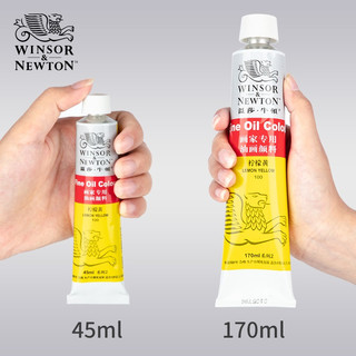 WINSOR＆NEWTON 温莎·牛顿 温莎牛顿画家专用油画颜料套装初学者儿童美术绘画单支管状油彩工具白色金色黑色钛白颜料170ml45ml常用24色