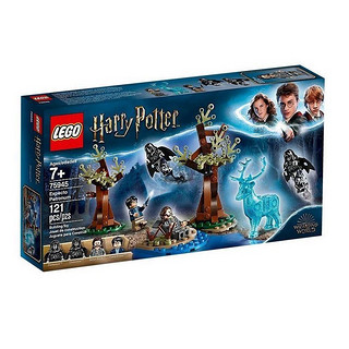 有券的上：LEGO 乐高 Harry Potter哈利·波特系列 75945 疾疾护法现身