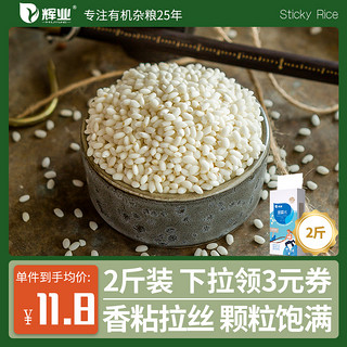 辉业 东北圆糯米5斤新米圆粒雪檽米优质包粽子专用白江米糯米十斤