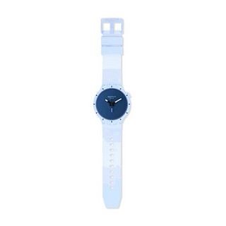 swatch 斯沃琪 COLOURS OF NATURE大地系列 47毫米石英腕表 SB03N102