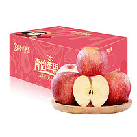 LUOCHUAN APPLE 洛川苹果 青怡陕西红富士2.25kg礼盒装一级中果单果160g以上 生鲜新鲜水果