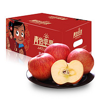 洛川苹果 青怡苹果水果 脆甜红富士 特级大果7.5斤 单果210g以上 优单礼盒 生鲜水果 新鲜时令水果 9斤 单果180g+