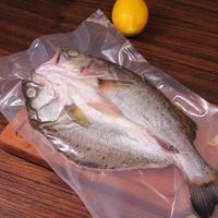 仙泉湖 三去白蕉海鲈/海鲈鱼 500g