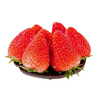 有券的上：京觅 丹东红颜草莓 1.5kg