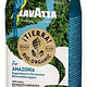 LAVAZZA 拉瓦萨 ¡Tierra！ 500g 包装 100% 高品质阿拉比卡咖啡豆中等烤