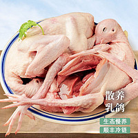 春鲤集市 现杀乳鸽 400g*3只