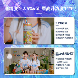 泡研社比利时小麦精酿啤酒白啤微醺果啤低度果酒西柚味330ml 西柚330ml*3+柠檬330ml*3