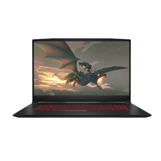 MSI 微星 武士 76 十一代酷睿版 17.3英寸 游戏本 黑色 (酷睿i7-11800H、RTX 3060 6G、16GB、512GB SSD、1080P、IPS、144Hz、MS-17L1）