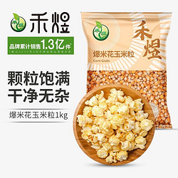 HE YU 禾煜 爆米花玉米粒1000g（100g*10） 不熏不掺不染 家用原料苞米花 爆米花用玉米粒