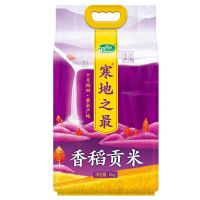 会员专享：十月稻田 寒地之最 香稻贡米 5kg