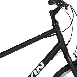 DECATHLON 迪卡侬 RIVERSIDE 100 山地自行车 8520047 磨砂黑 M 29英寸 6速