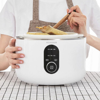 QCOOKER 圈厨 CR-DZ01 电炖锅 2.5L