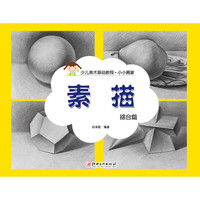 《少儿美术基础教程·小小画家:素描 综合篇》