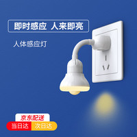 爱耐特 智能人体感应灯插电式小夜灯光控节能插座灯插头灯楼道过道走廊卫生间厕所自动亮灯光感 两孔插头款-白光(3.3W)