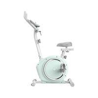 YESOUL 野小兽 动感单车智能磁控健身车家用健身器材 EB10薄荷奶绿