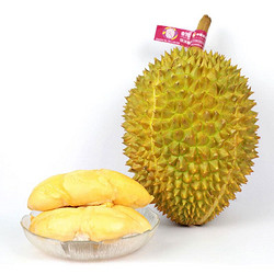 JAVA 佳沃 预售 Joyvio 佳沃 泰国进口托曼尼榴莲1个装 1.5-2kg 生鲜 新鲜水果