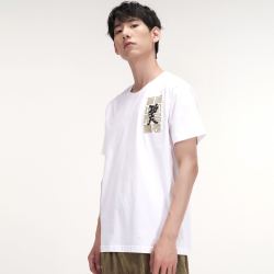 XTEP 特步 T恤男短袖夏季少林新款潮流宽松男装半袖运动上衣
