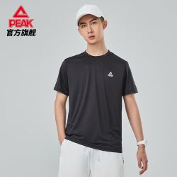 peak 匹克 男子运动t恤 df612081