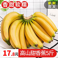 寻味君 高山香蕉 香甜大香蕉banana 当季新鲜水果芭蕉 5斤实惠装