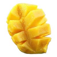 飞犇 海南小台芒