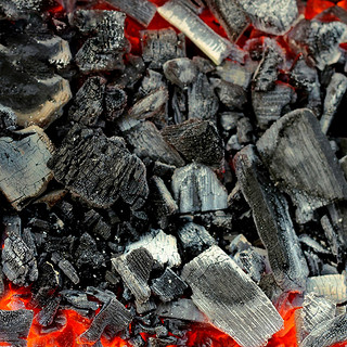 JAJALIN 户外家用烧烤碳木炭无烟易燃果木炭商用批发非机制炭竹炭 烧烤架+5斤果木炭