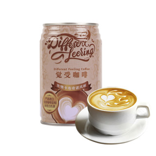 JUESO COFFEE 觉受咖啡 浓情卡布奇诺风味 咖啡饮料 280ml*24罐